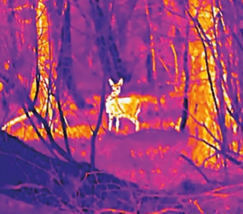 Thermal imaging